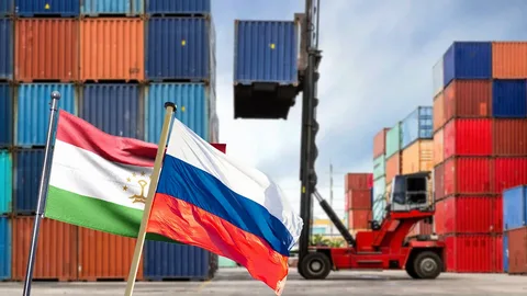 Товарооборот между Таджикистаном и РФ за полгода вырос на 11%