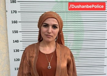Блогер из Душанбе арестована на 7 суток за оскорбительное поведение в соцсетях