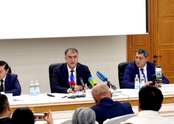 Импорт в Таджикистан вырос на 9,4% — в страну завезено больше автомобилей и пшеницы