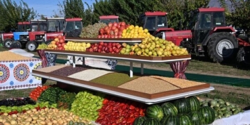 Таджикистан расширяет сотрудничество с Ираном и Китаем в сфере сельского хозяйства