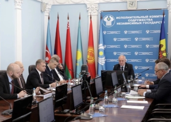 Эксперты СНГ согласовали проект Основ информационной политики в пограничной сфере