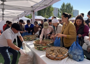 В Алматы прошла выставка таджикской сельскохозяйственной и ремесленной продукции