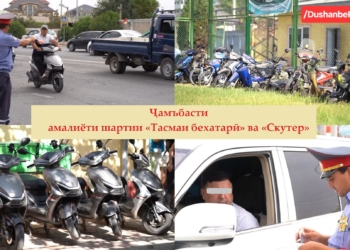 В Душанбе за 10 дней выявлено более 1200 нарушителей ремней безопасности