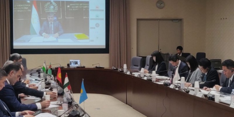 «Дорожную карту к углеродной нейтральности для Центральной Азии» обсудили в Токио