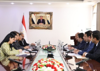 Таджикистан обсудил с Всемирным банком развитие образования и науки