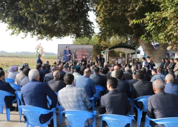 Район Джалолиддини Балхи выполнил план по сбору хлопка