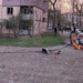 Зеленский сообщил о массированной атаке Кривого Рога российскими дронами