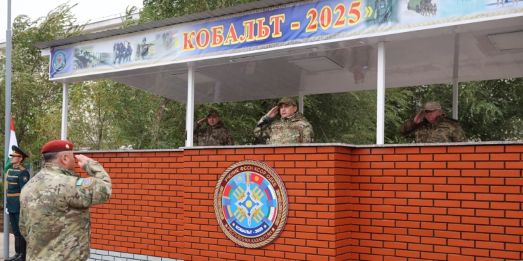 В Казахстане прошли учения спецподразделений ОДКБ «Кобальт-2025»