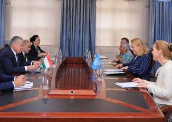 Таджикистан обсудил с UNECE сотрудничество по устойчивому развитию и «зеленой» экономике