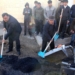 В Гиссаре председатель города принял участие в асфальтировании дорог в селе Гачак