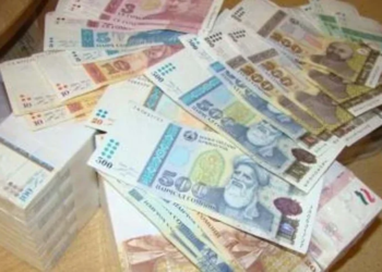 Житель района Дж. Балхи задержан за хищение более 321 тыс. сомони