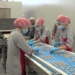 ЕАБР поддержит расширение производства пищевой продукции в Таджикистане