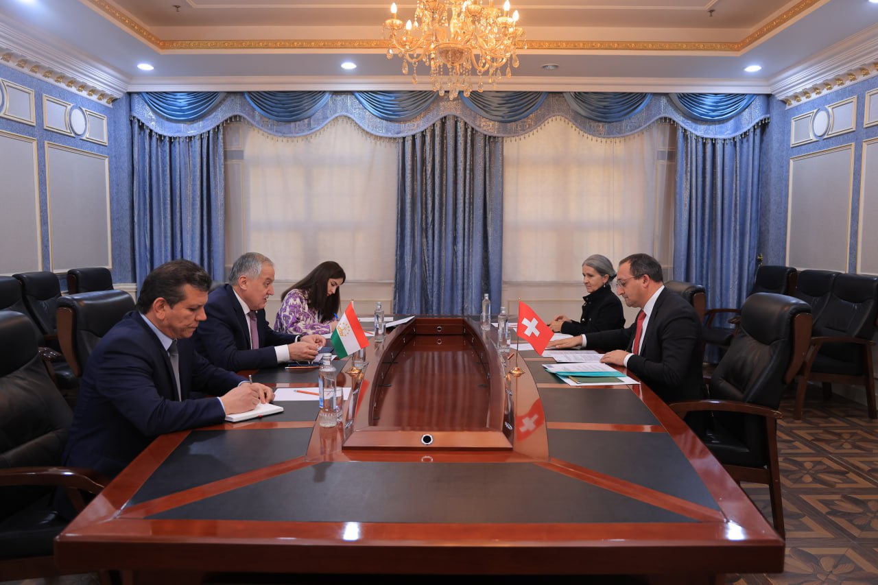 Глава МИД Таджикистана принял посла Швейцарии по случаю завершения его миссии