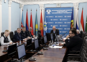 Эксперты СНГ разрабатывают основы информационной политики стран Содружества в пограничной сфере
