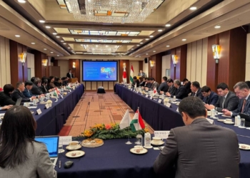 В Токио прошло рамочное мероприятие «Tajik–Japan Digital Business Connect»