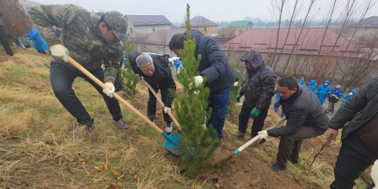 В районе Рудаки прошла таджикско-китайская акция по посадке более 2 тыс. деревьев