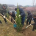 В районе Рудаки прошла таджикско-китайская акция по посадке более 2 тыс. деревьев