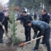 В «Парке Победы» в Душанбе высажено более 1000 саженцев вечнозеленых деревьев