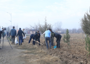 Вдоль автотрассы «Бохтар – Левакант» посажено более 1000 деревьев