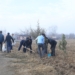 Вдоль автотрассы «Бохтар – Левакант» посажено более 1000 деревьев