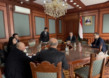 Китайская компания планирует построить СЭС и ВЭС мощностью 500 МВт в Хатлонской области