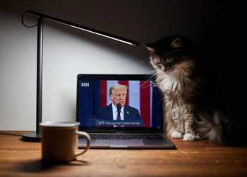 Житель Ташкента оштрафован за жалобу на Трампа о похищении Мадуро