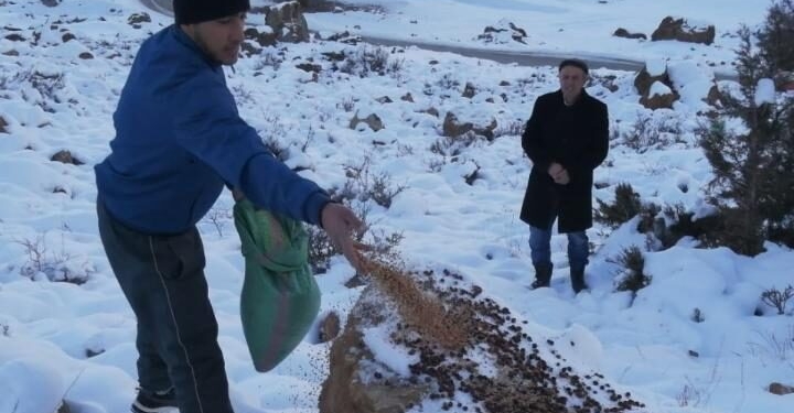 В Ванджском районе создана кормовая база для диких животных и птиц