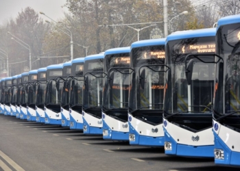 С 2026 года в Таджикистане все путевые документы будут оформляться через мобильное приложение