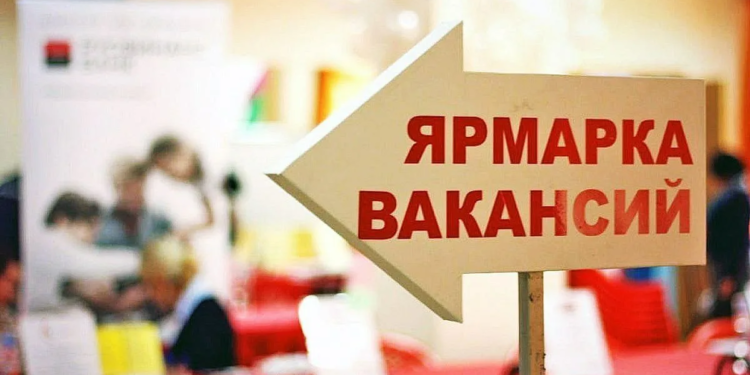 В Яванском районе в 2025 году было проведено 16 ярмарок вакансий с участием 105 предприятий