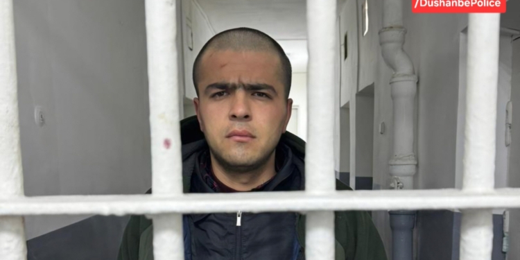 В Душанбе задержан мужчина за нарушение общественного порядка и повреждение транспорта