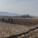 В Пенджикенте началась посадка раннего картофеля на площади 3,5 гектара