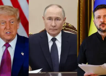 Уиткофф допустил встречу Зеленского и Путина в ближайшие недели