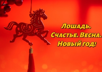 Лошадь. Счастье. Весна. Новый год!