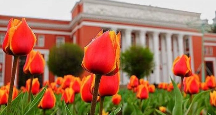 В Душанбе в апреле пройдёт Фестиваль цветов «Сайри гули лола»