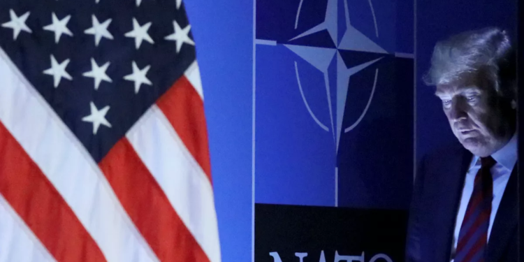 США могут лишить части союзников по НАТО права голоса