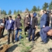В Варзобском районе высадили более 1500 деревьев
