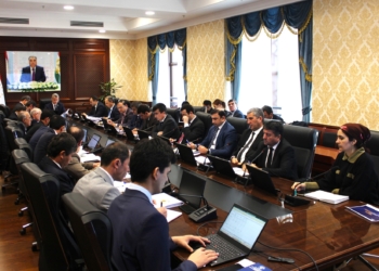 В Минэкономразвития Таджикистана представили прогнозы развития городов и районов на 2027–2029 годы