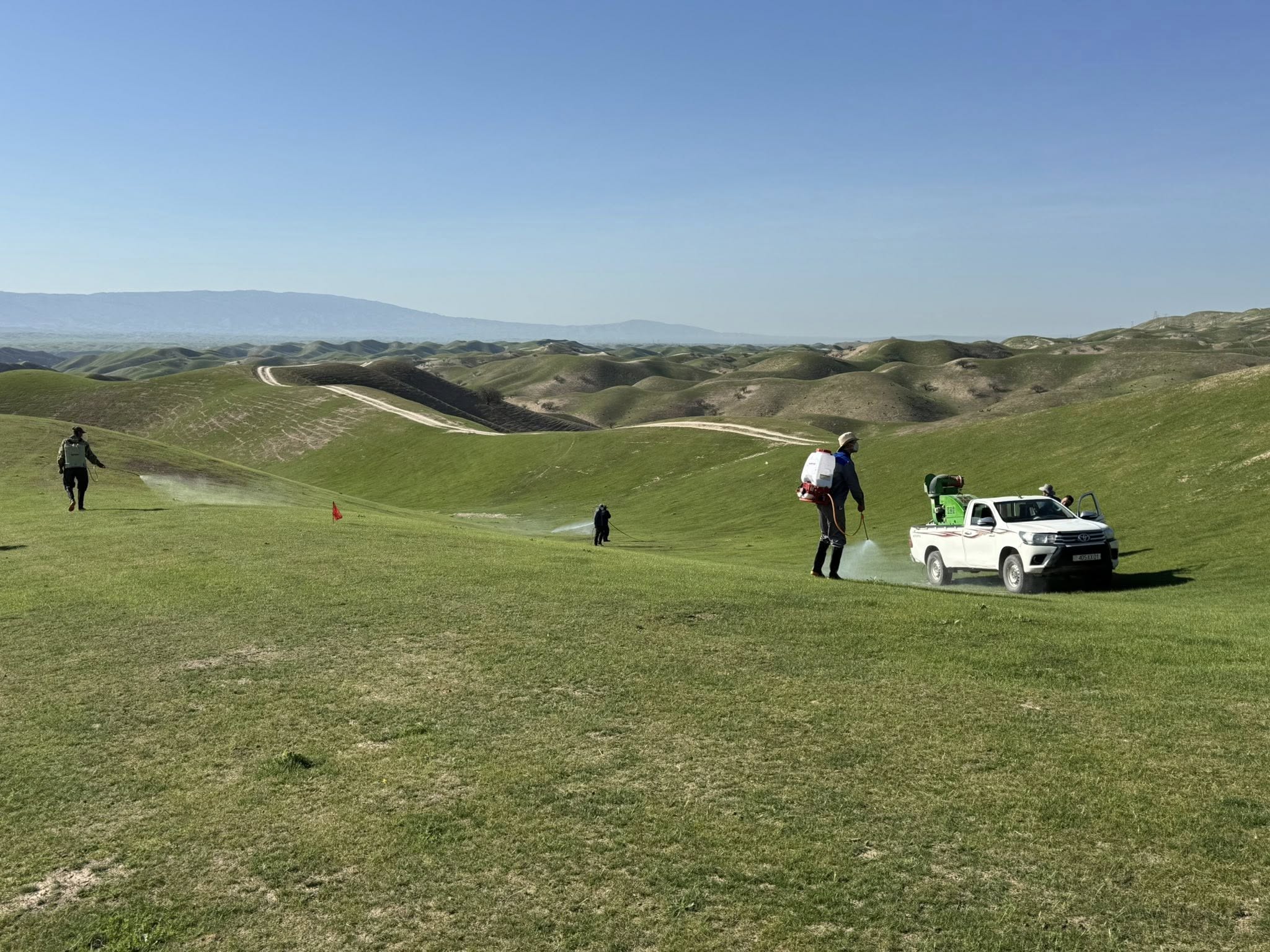 Глава Хатлонской области ознакомился с мерами по ликвидации саранчи