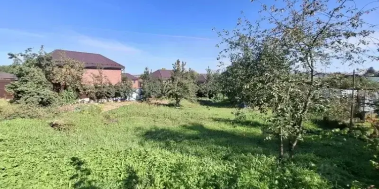 Житель Истаравшана подозревается в мошенничестве на 1,2 млн сомони