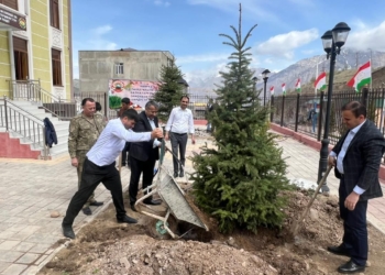 В Рогуне прошла акция по посадке саженцев