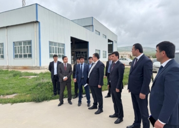 Министр проверил развитие СЭЗ «Дангара» и «Куляб»