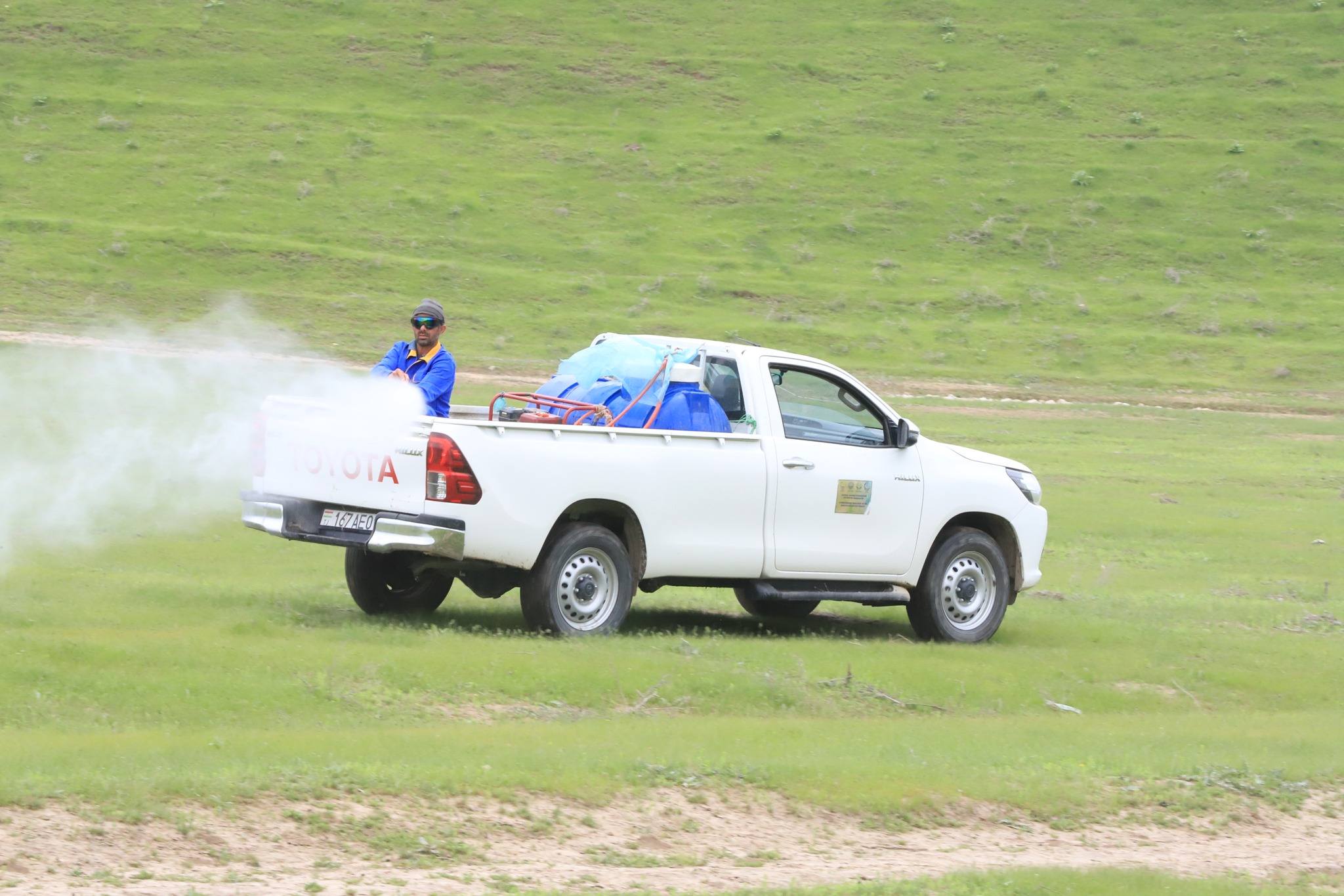 В Пянджском районе зафиксировано распространение саранчи на 477 гектарах