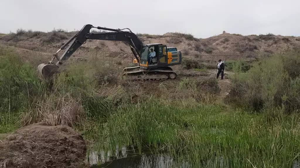 В заповеднике «Тигровая Балка» проводят работы по улучшению гидрологического состояния