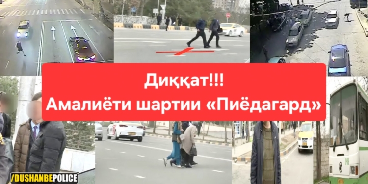 В Душанбе проходит операция «Пешеход»