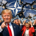 США разделили союзников по НАТО на «хороших» и «плохих»