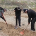 Шахристан планирует собрать более 100 тыс. тонн картофеля