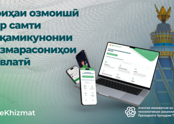 Власти Таджикистана реализуют пилотный проект по цифровизации государственных услуг