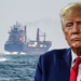 Трамп объявил о временной приостановке проекта «Свобода» в Ормузском проливе