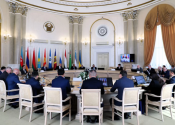Консульские службы стран СНГ обсудили вопросы оказания помощи гражданам и оперативного обмена информацией