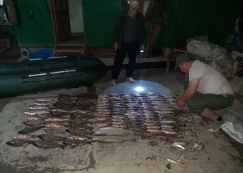 Во время запрета на рыбалку в Согдийской области изъяли 132 незаконно выловленные рыбы